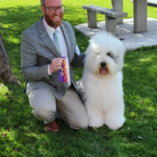 Dog 1